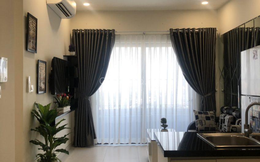 Cần Cho thuê gấp căn hộ cao cấp Diamond Lotus Riverside,49C Lê Quang Kim, Quận 8